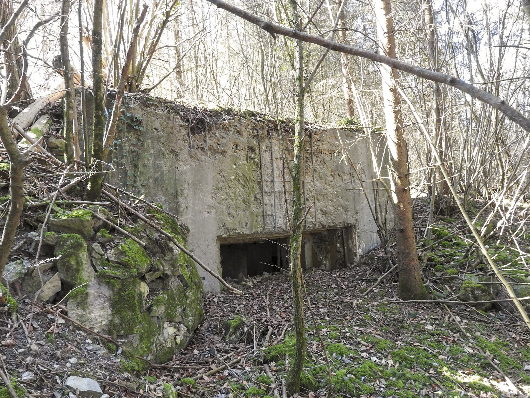 Ligne Maginot - MUEHLENBACH 3 - (Blockhaus pour canon) - La façade de tir du blockhaus.