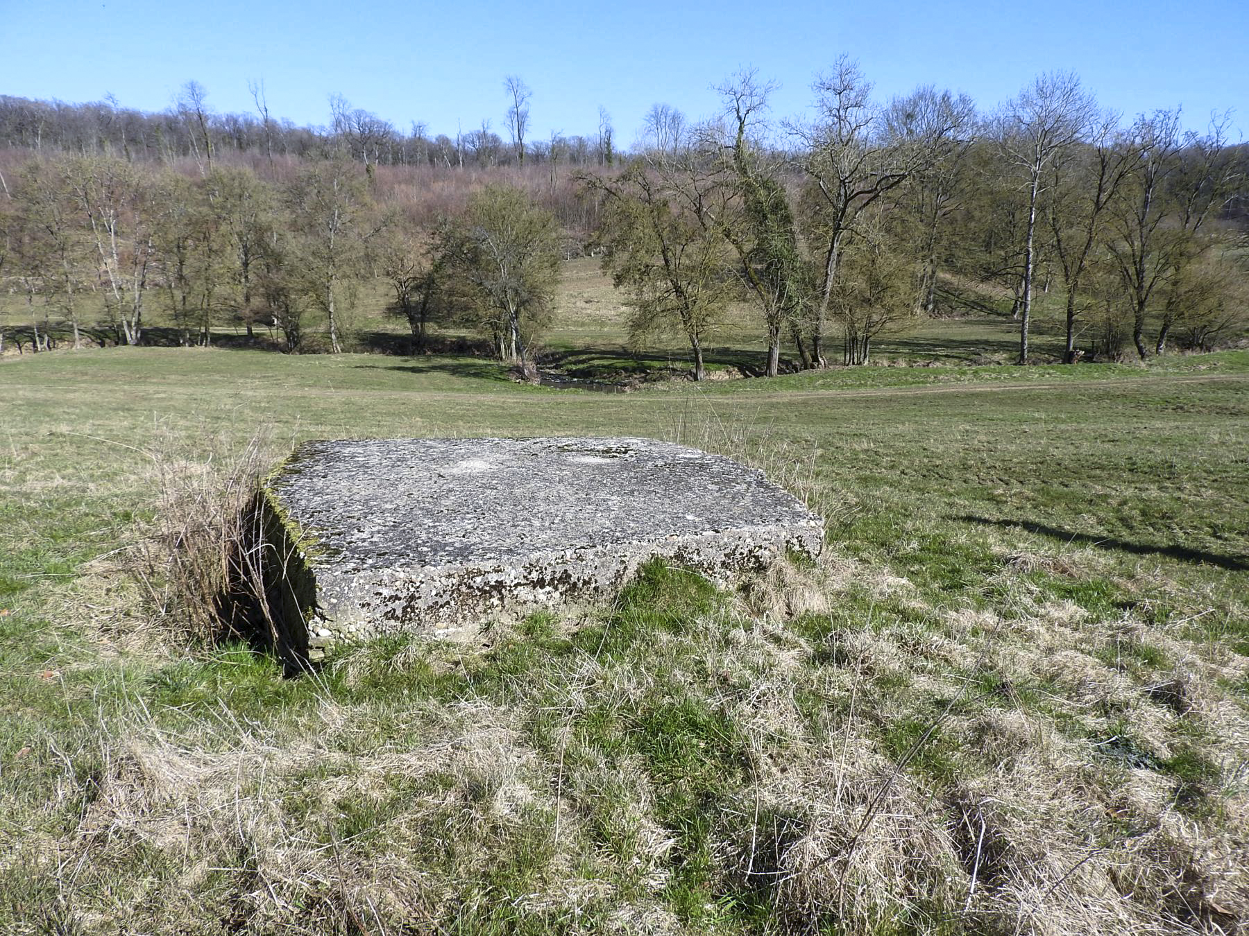 Ligne Maginot - MUEHLENBACH 8 - (Observatoire indéterminé) - L'arrière remblayé de l'observatoire.