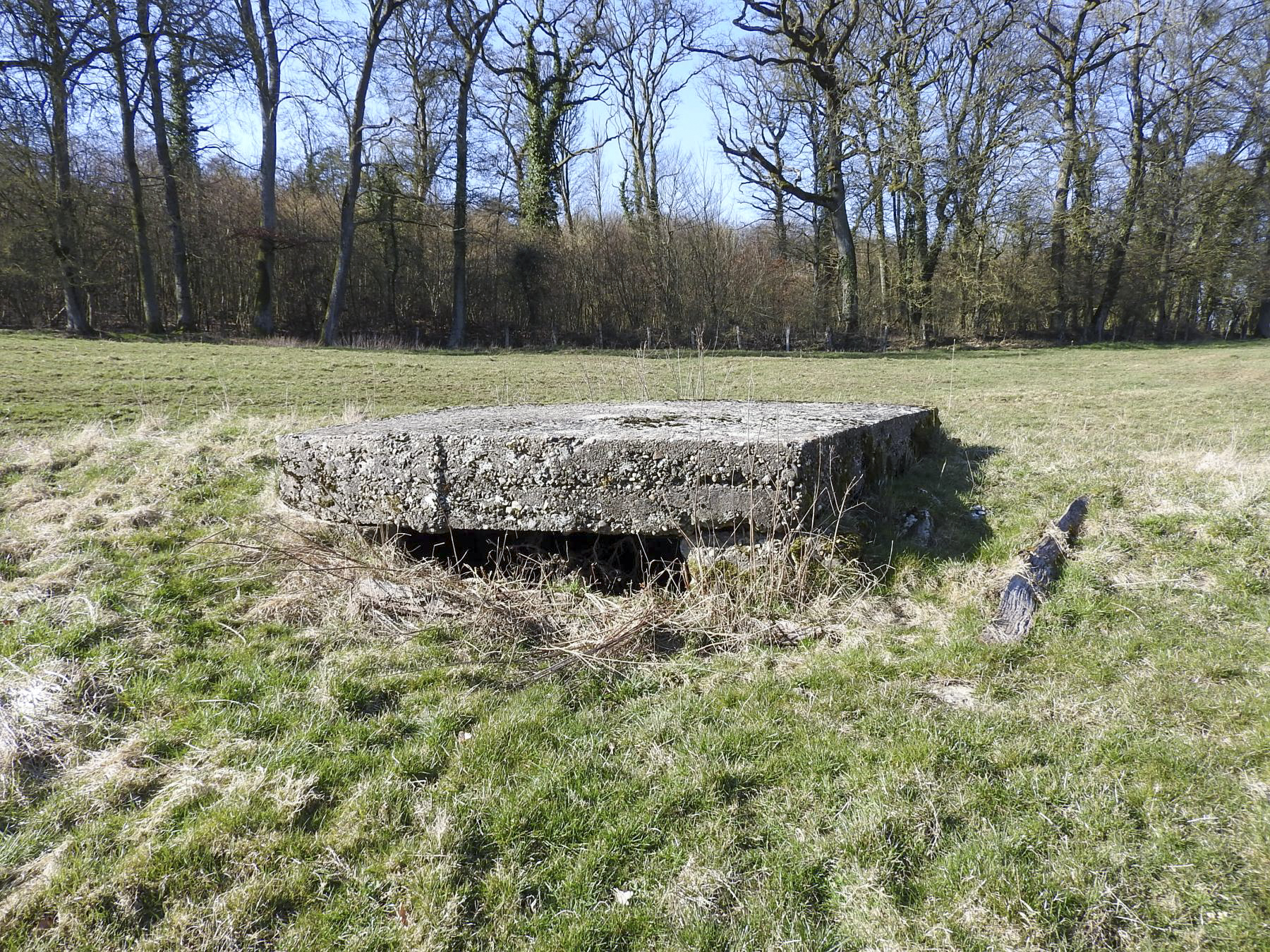 Ligne Maginot - MUEHLENBACH 8 - (Observatoire indéterminé) - La façade avec un unique créneaux d'observation.