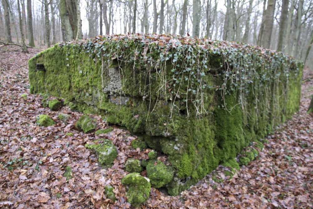 Ligne Maginot - ROCKERTEN (QUARTIER BOIS D'OTTONVILLE - III/161°RIF) - (PC de Quartier) - 