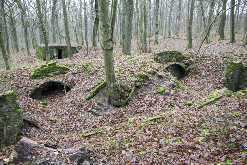 Ligne Maginot - ROCKERTEN (QUARTIER BOIS D'OTTONVILLE - III/161°RIF) - (PC de Quartier) - 