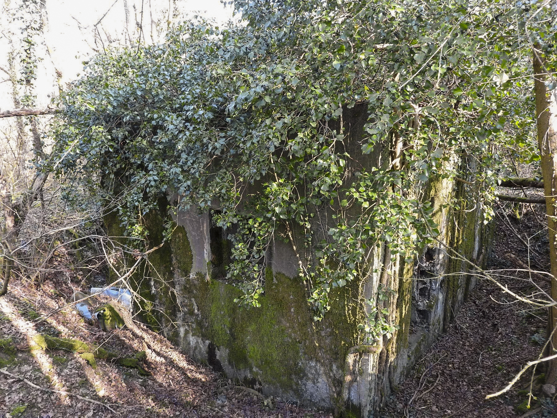 Ligne Maginot - BB163 - STUDEN NORD-EST - (Blockhaus pour arme infanterie) - La façade arrière avec un créneau pour FM; à droite l'entrée.