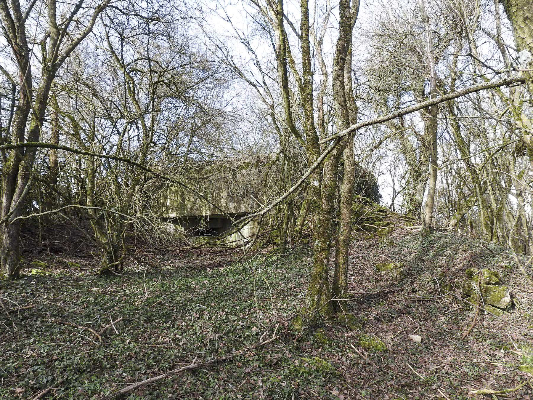 Ligne Maginot - AB16 - (Blockhaus pour canon) - Le blockhaus vu depuis l'Est.