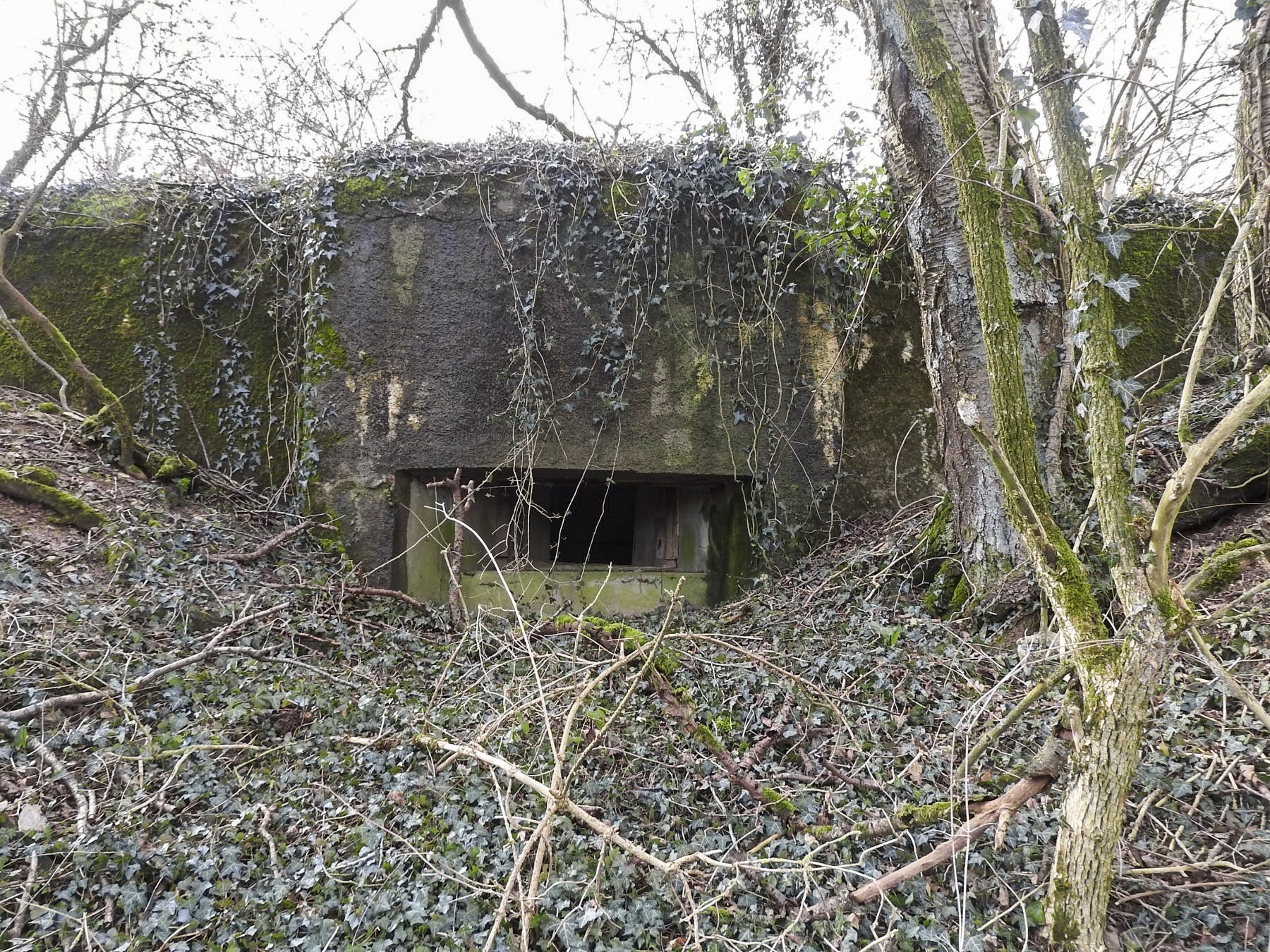 Ligne Maginot - AB16 - (Blockhaus pour canon) - Le créneau anti-char d'action frontale.