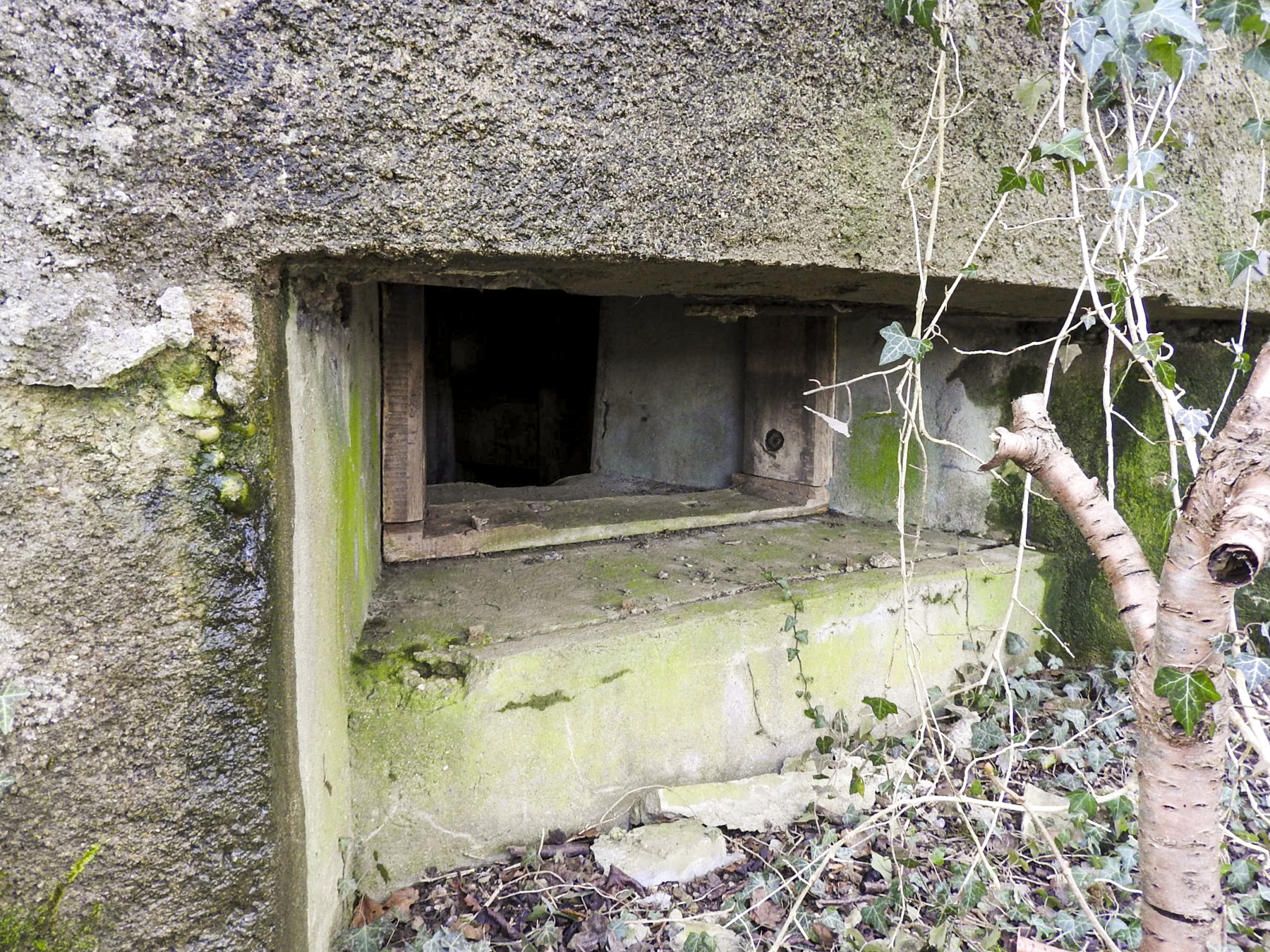 Ligne Maginot - AB16 - (Blockhaus pour canon) - Le créneau anti-char d'action frontale.