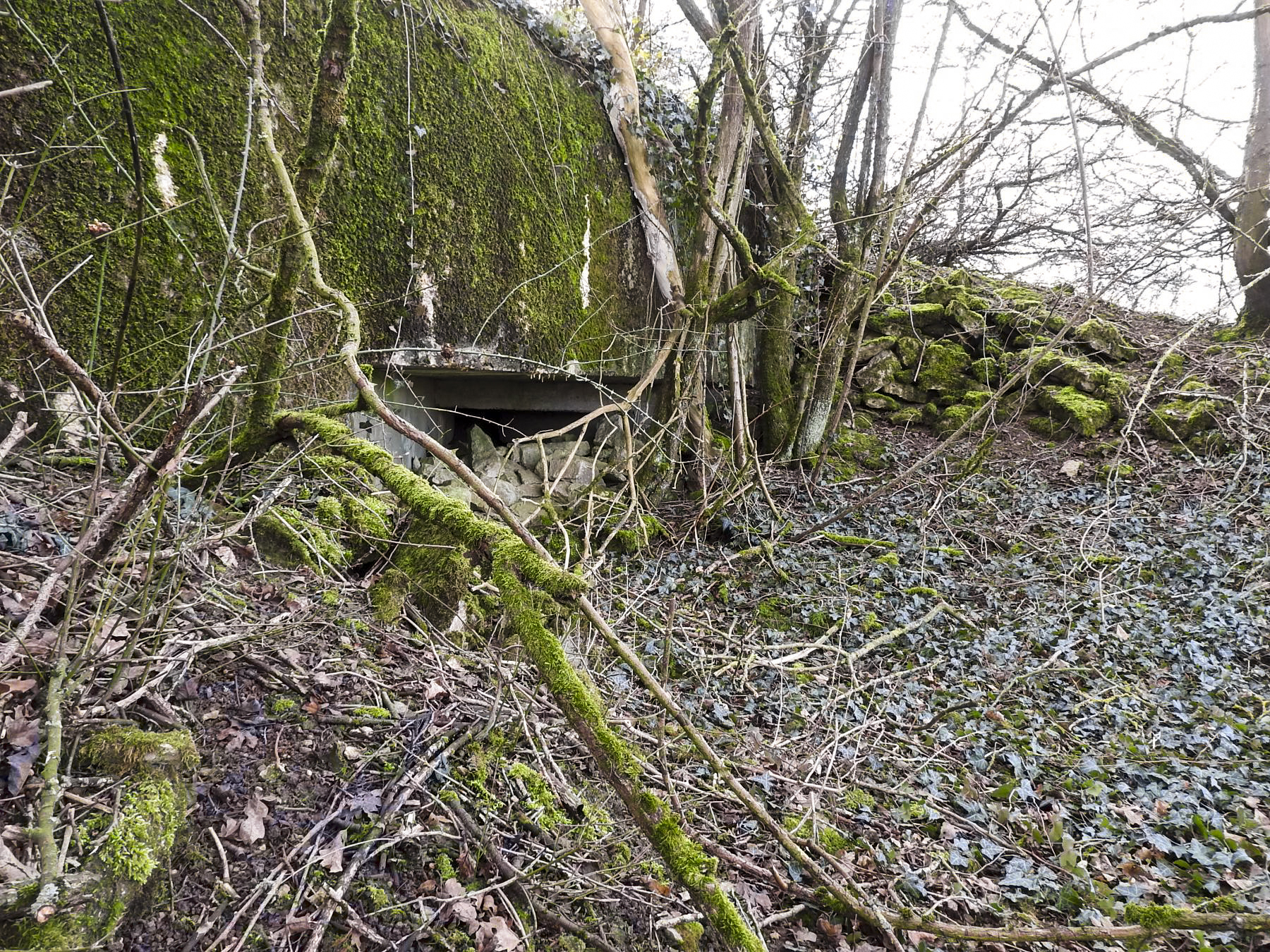 Ligne Maginot - AB16 - (Blockhaus pour canon) - Le flanquement vers la gauche.