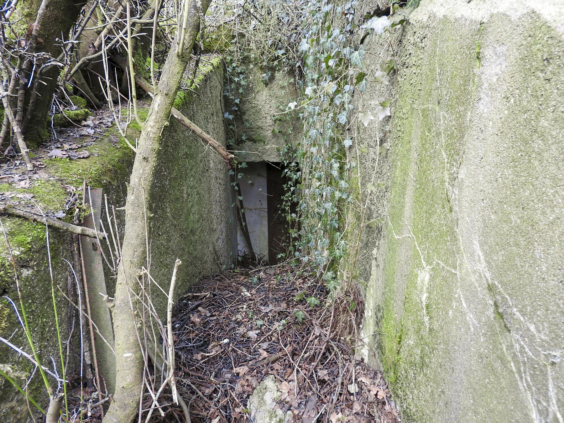 Ligne Maginot - AB16 - (Blockhaus pour canon) - L'entrée du blockhaus.