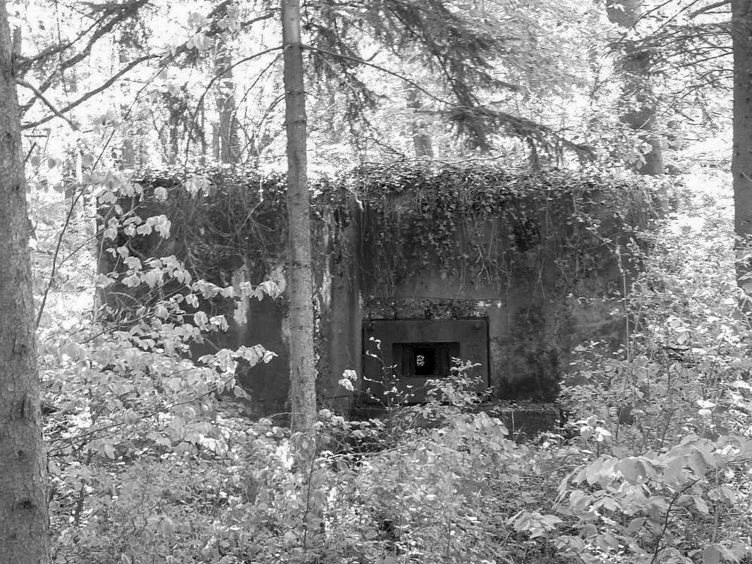 Ligne Maginot - ALTCOUPE - (Blockhaus pour arme infanterie) - 