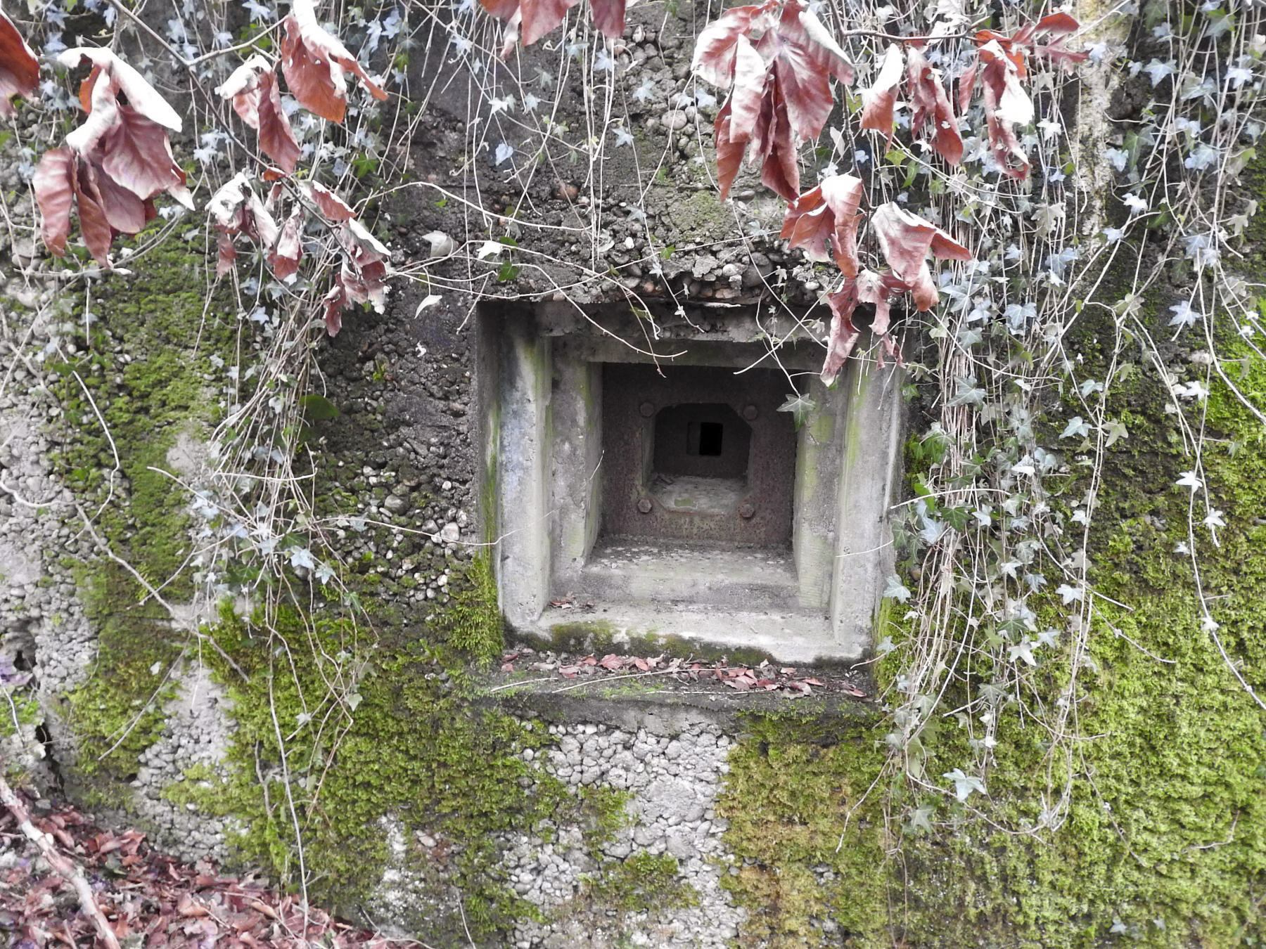 Ligne Maginot - ALTCOUPE - (Blockhaus pour arme infanterie) - Le créneau pour FM.