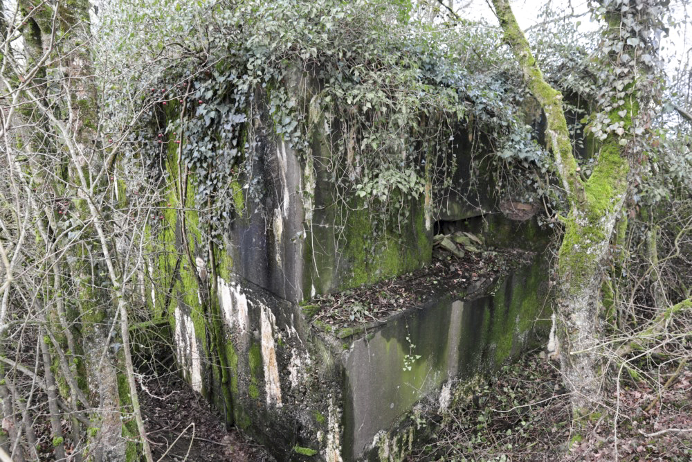 Ligne Maginot - ALTCOUPE NORD - (Blockhaus pour canon) - 