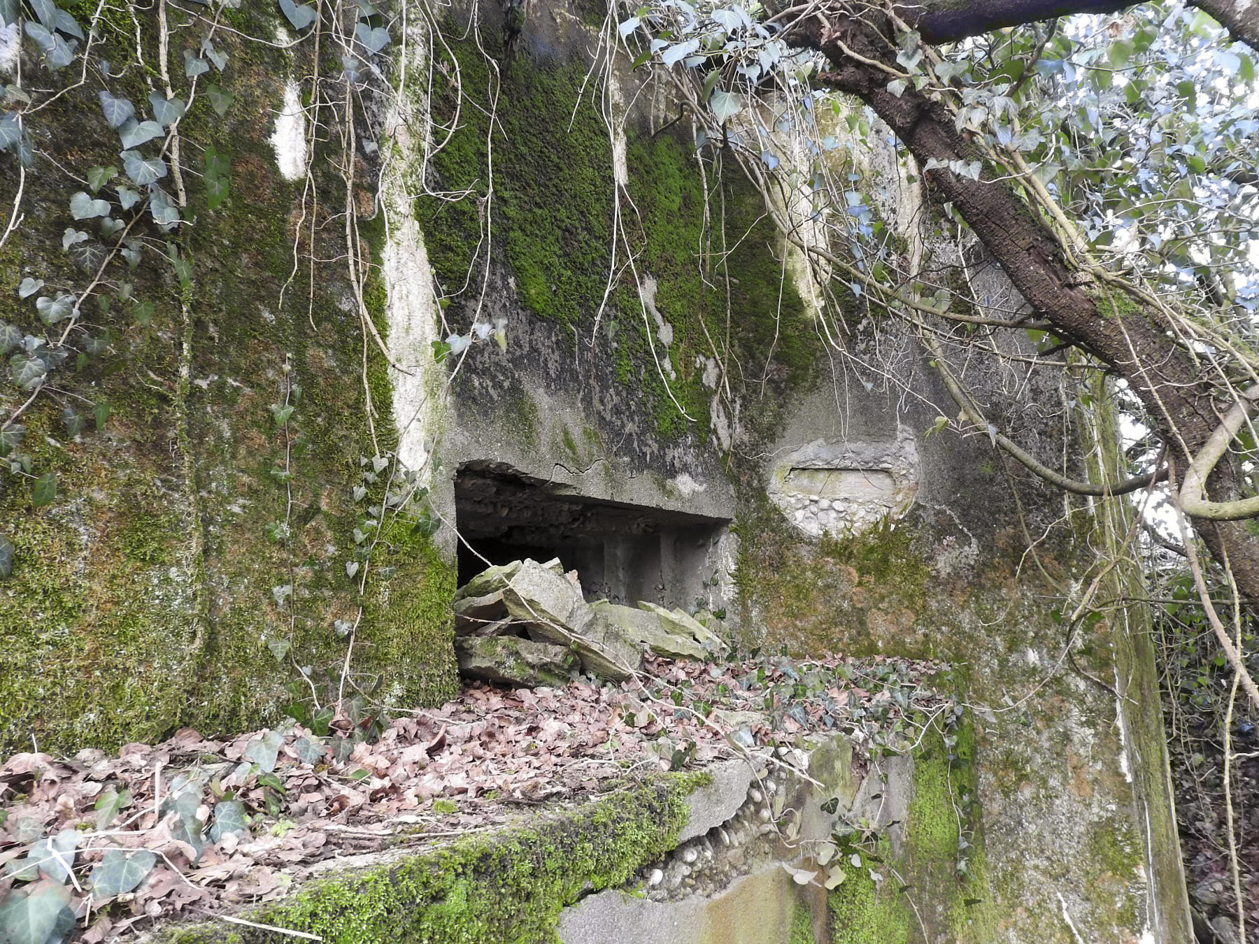 Ligne Maginot - ALTCOUPE NORD - (Blockhaus pour canon) - L'embrasure du blockhaus.