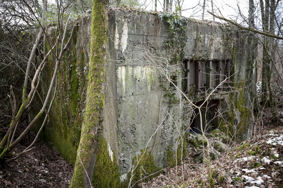 Ligne Maginot - ALTCOUPE NORD - (Blockhaus pour canon) - Façade arrière