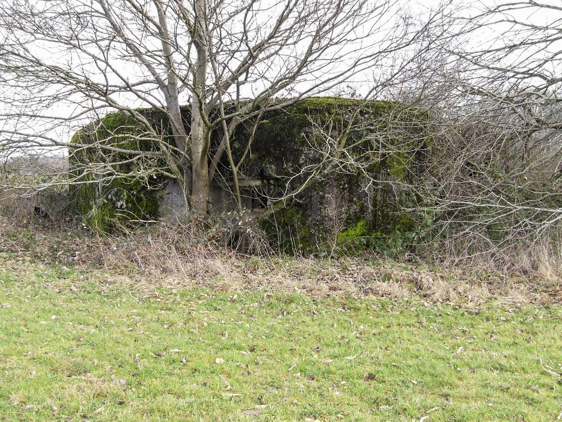 Ligne Maginot - FERME DE FREUDENBERG 2 - (Blockhaus de type indéterminé) - Le blockhaus vu depuis la lisière de la forêt.