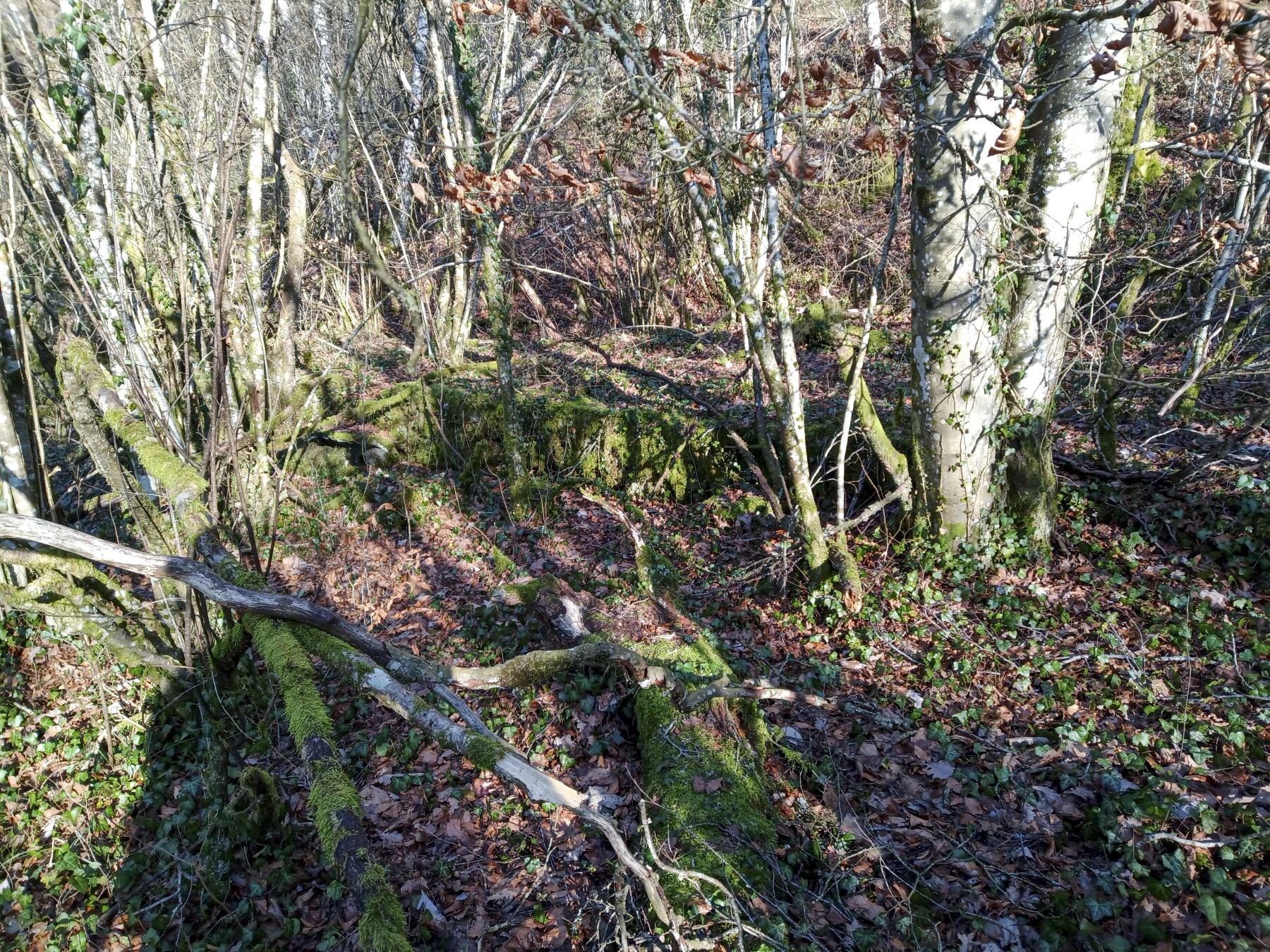 Ligne Maginot - VELOSNES - (Casernement) - Les restes du casernement