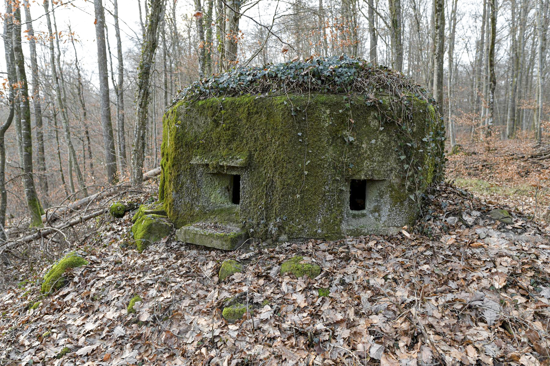 Ligne Maginot - FM18 - ROUTE DE LA VERRERIE 3 - (Blockhaus pour arme infanterie) - 