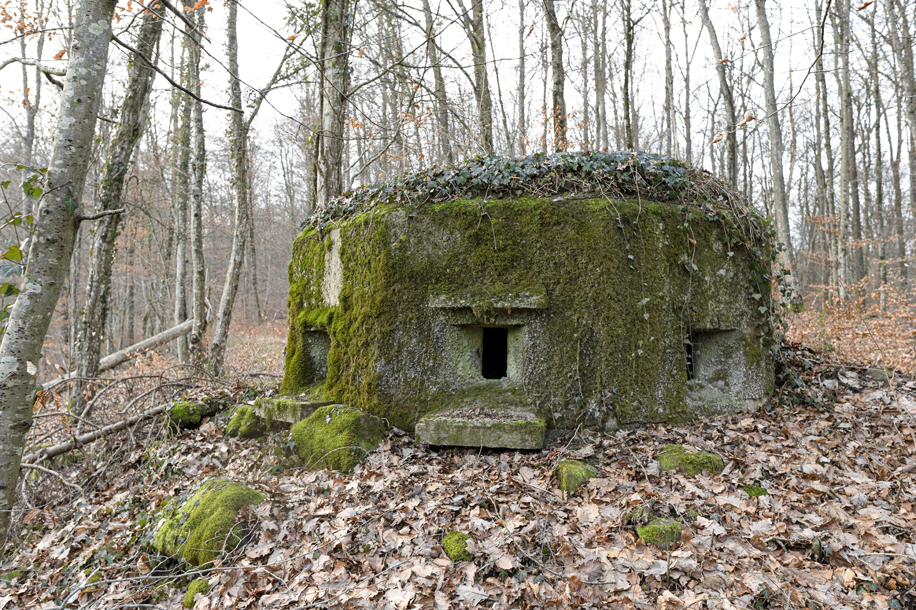 Ligne Maginot - FM18 - ROUTE DE LA VERRERIE 3 - (Blockhaus pour arme infanterie) - 