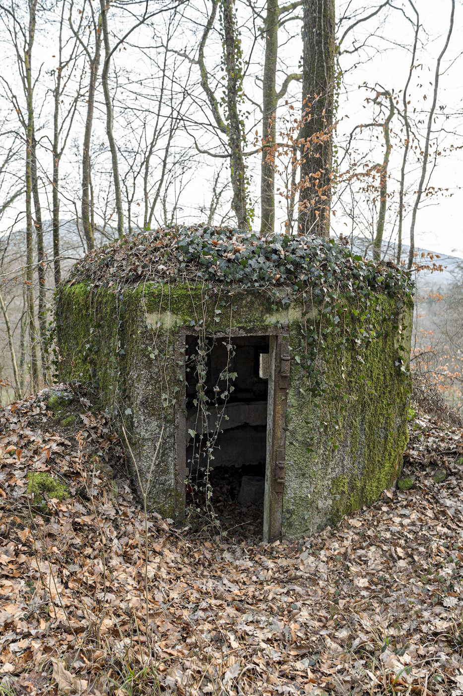 Ligne Maginot - FM18 - ROUTE DE LA VERRERIE 3 - (Blockhaus pour arme infanterie) - 