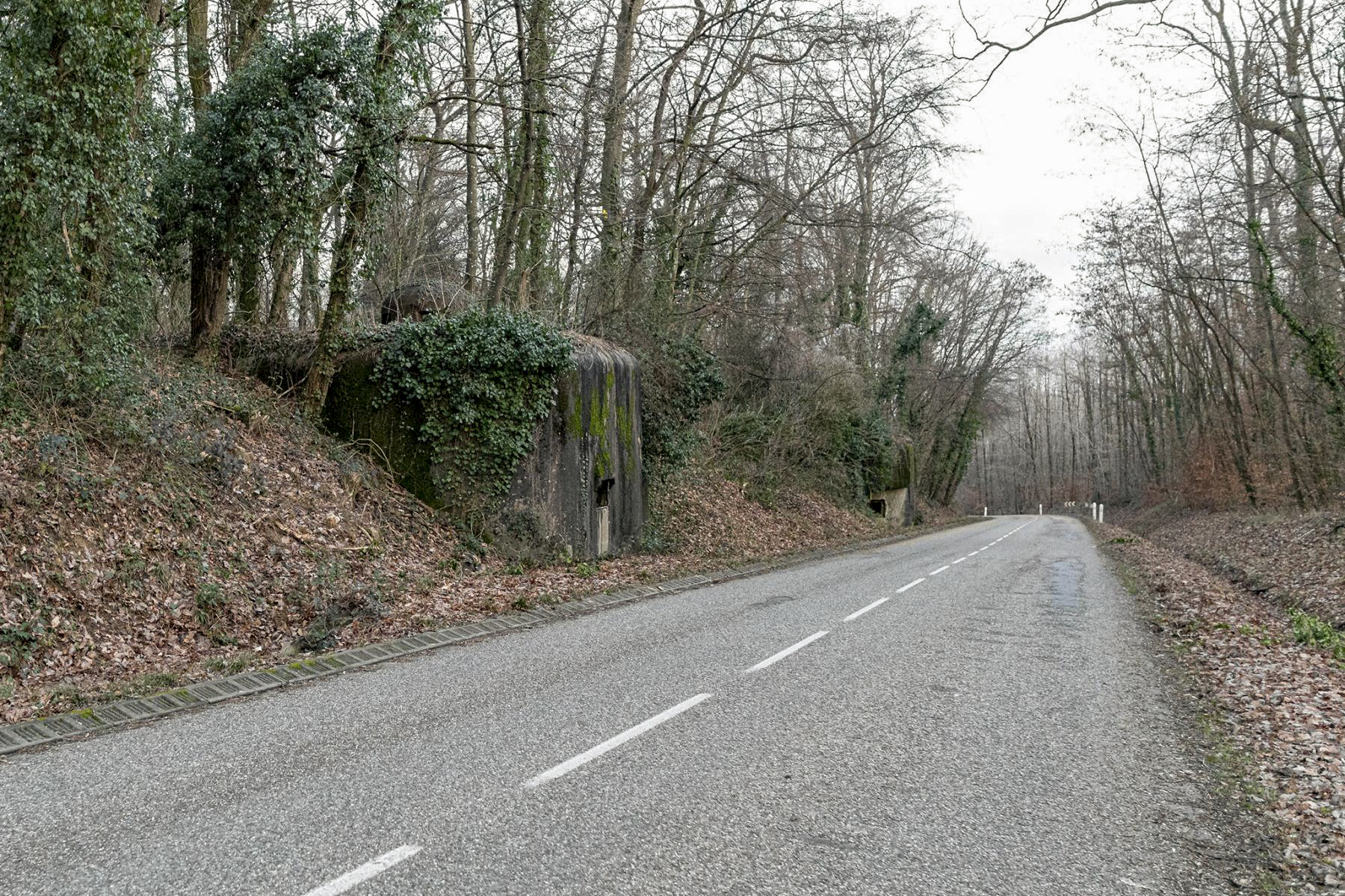 Ligne Maginot - BIRLENBACH - (Abri) - Les deux coffres d'entrée