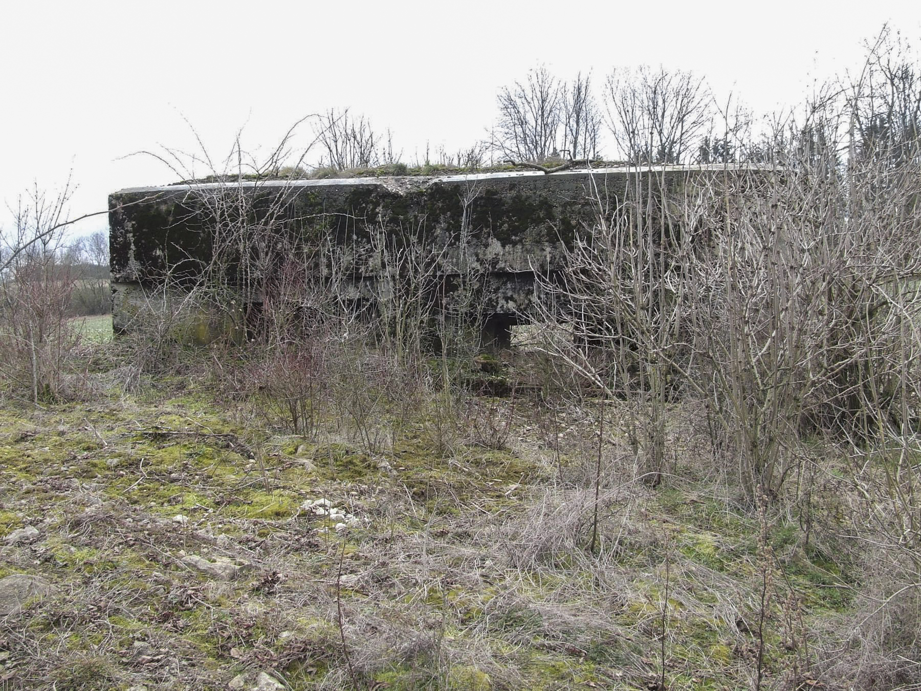 Ligne Maginot - OLFERDINGER 1 - (Blockhaus pour canon) - La façade de tir du blockhaus.