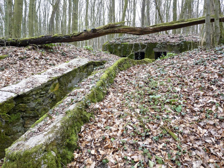 Ligne Maginot - GROS BOIS (160° RIF) - (PC de Sous-Secteur) - Le premier bâtiment.
Noter la présence d'isolateurs dans l'arbre couché.