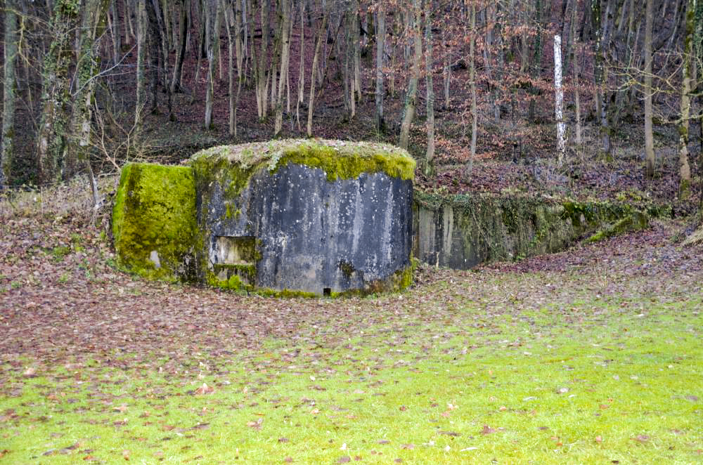 Ligne Maginot - OLTINGUE NORD 1 - (Blockhaus pour arme infanterie) - Vue sur le créneau mitrailleuse