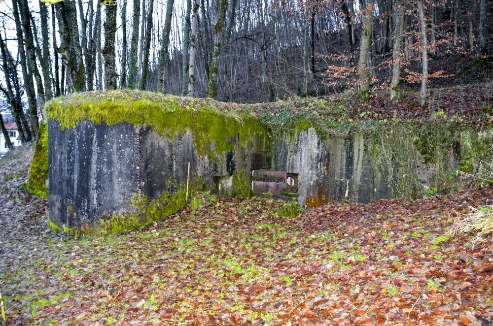 Ligne Maginot - OLTINGUE NORD 1 - (Blockhaus pour arme infanterie) - Vue sur l'entrée. La  porte blindée est encadrée par deux créneaux de tir FM