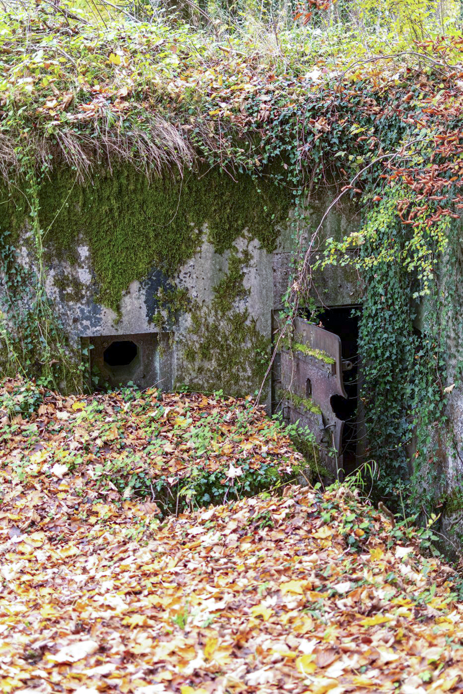 Ligne Maginot - OLTINGUE NORD 1 - (Blockhaus pour arme infanterie) - 