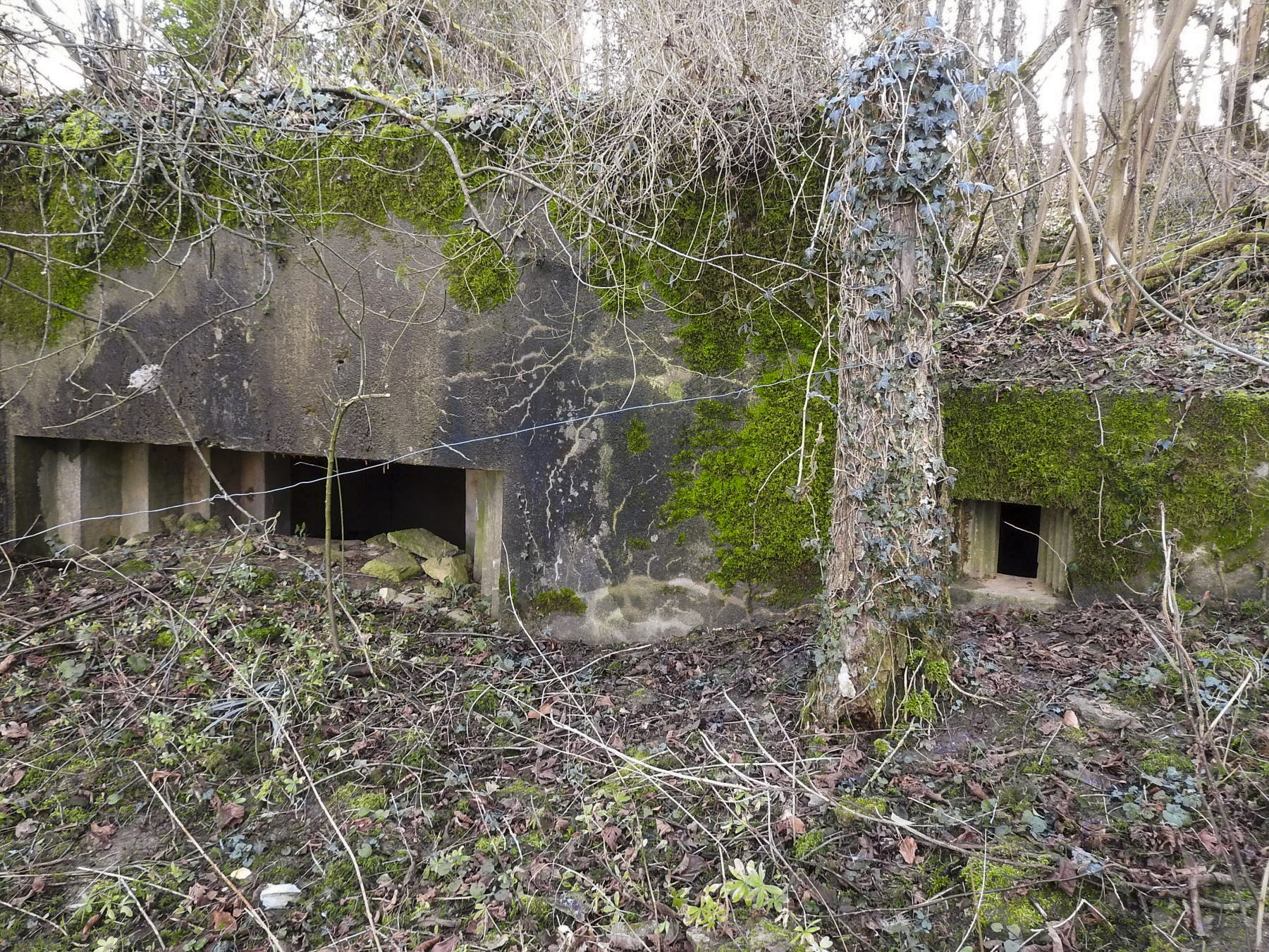 Ligne Maginot - VERTH - (Blockhaus pour canon) - La façade de tir du blockhaus pour un canon anti-char et un FM.