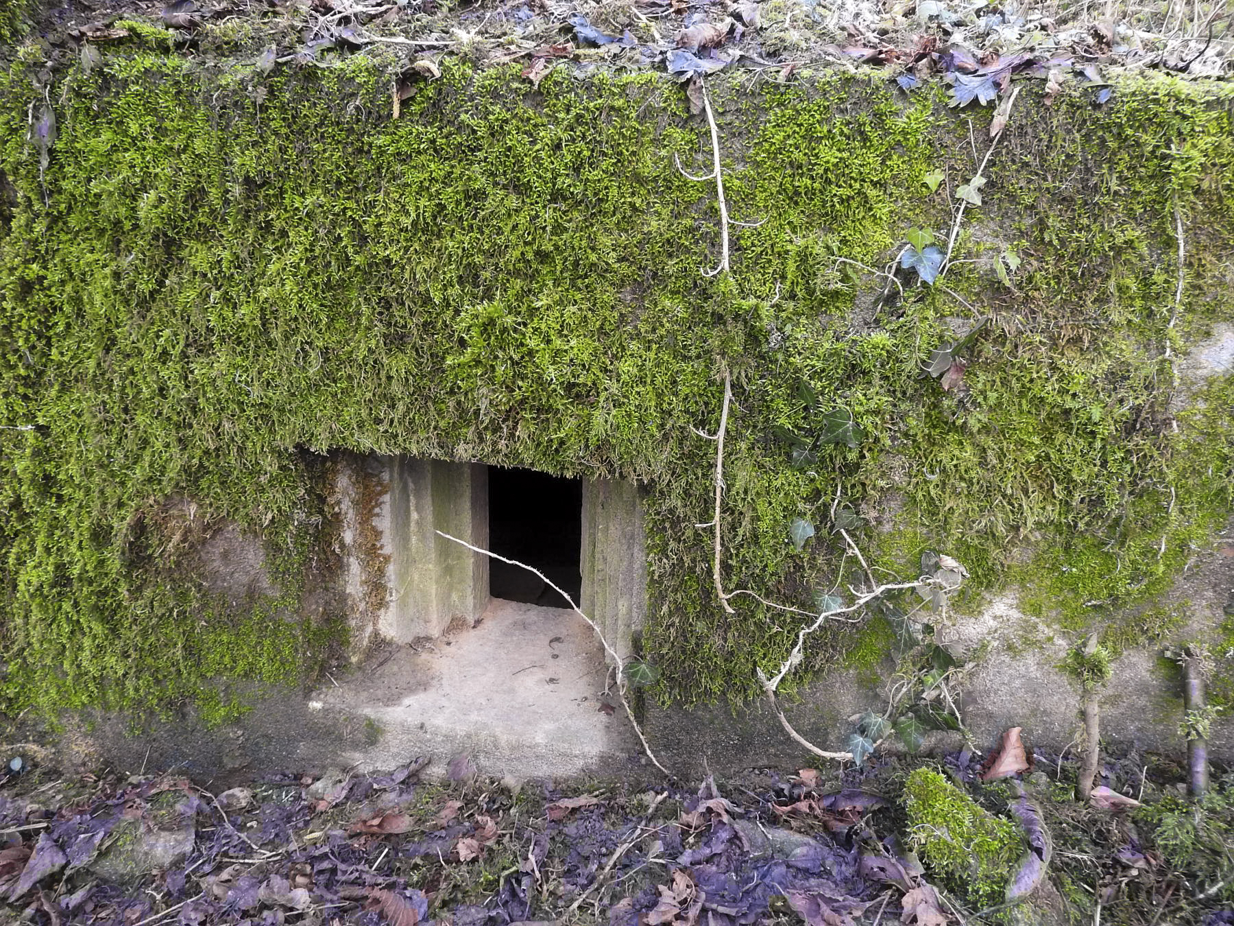 Ligne Maginot - VERTH - (Blockhaus pour canon) - Le créneau pour FM.