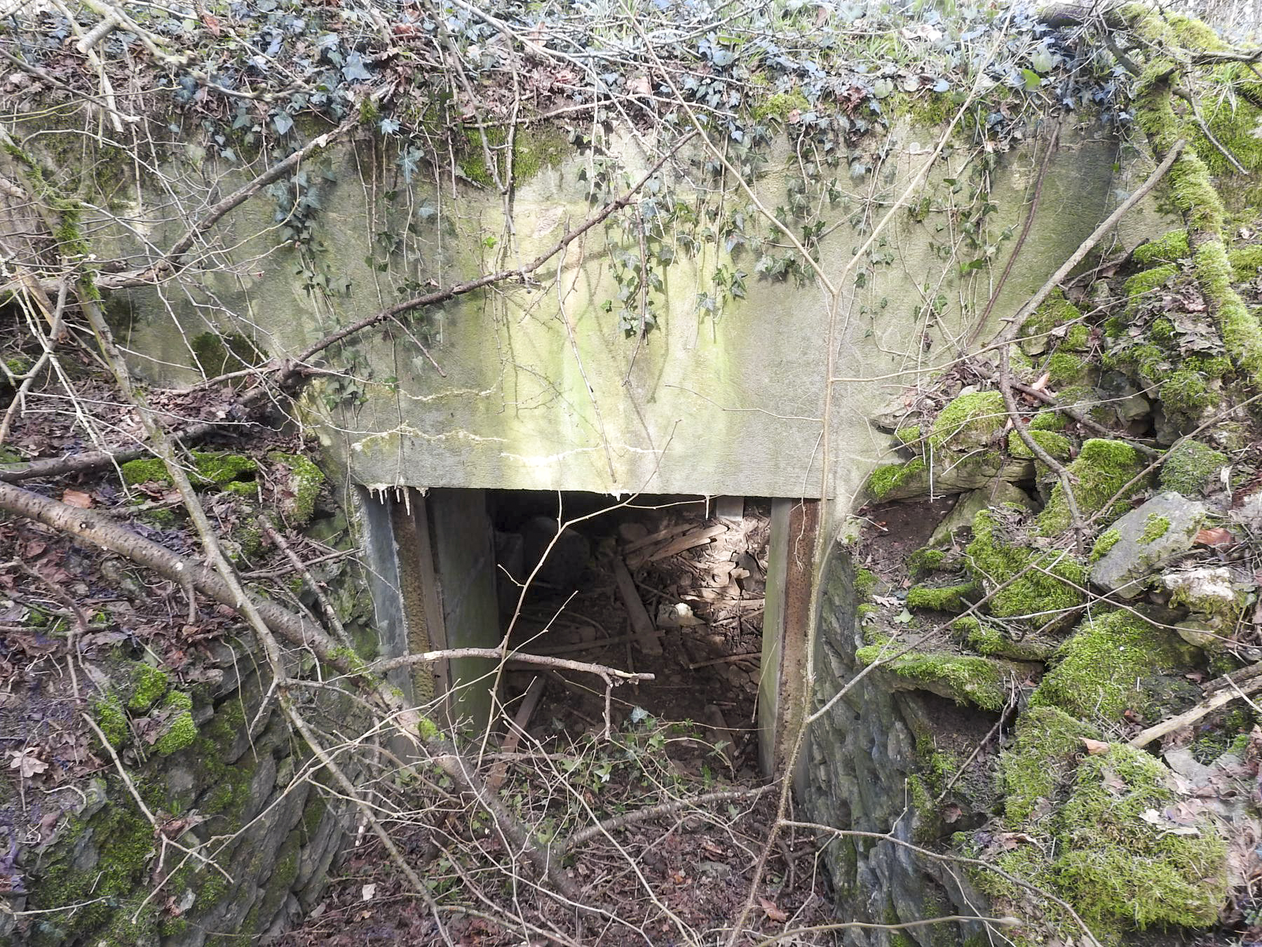 Ligne Maginot - VERTH - (Blockhaus pour canon) - L'entrée matériel du blockhaus.