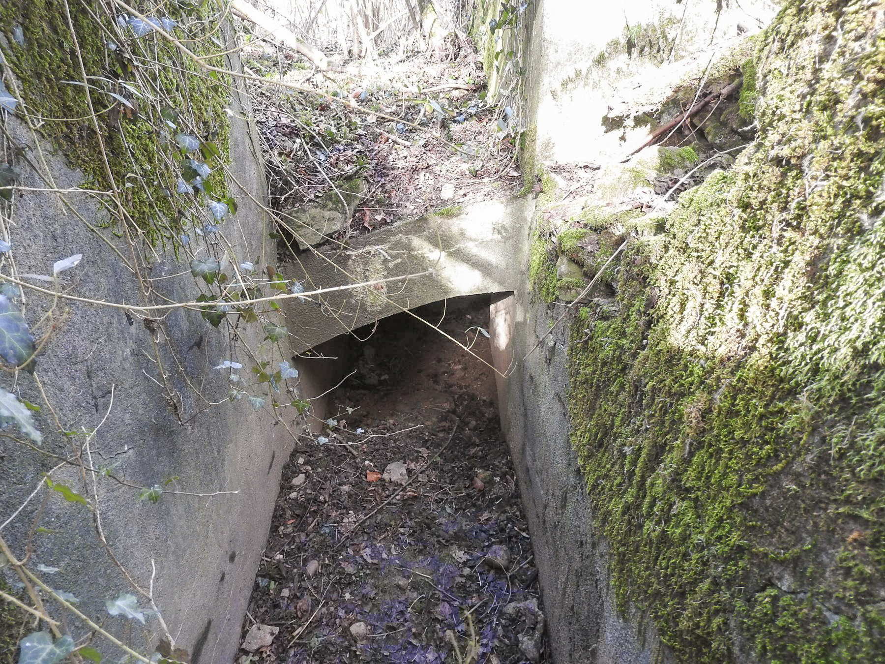 Ligne Maginot - VERTH - (Blockhaus pour canon) - L'entrée du passage vouté vers l'entrée hommes et la chambre de tir pour FM.