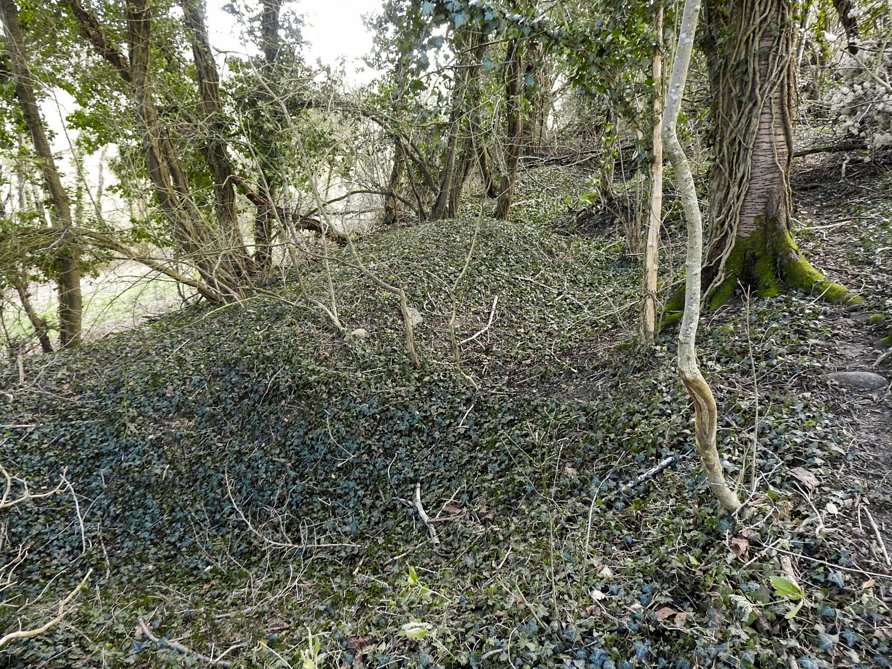 Ligne Maginot - VERTH - (Blockhaus pour canon) - Un réseau de tranchées à proximité du blockhaus.