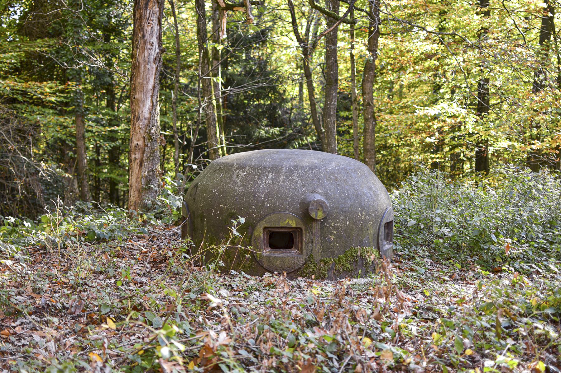 Ligne Maginot - 111 - BETTLACH NORD - (Casemate d'infanterie - Double) - 