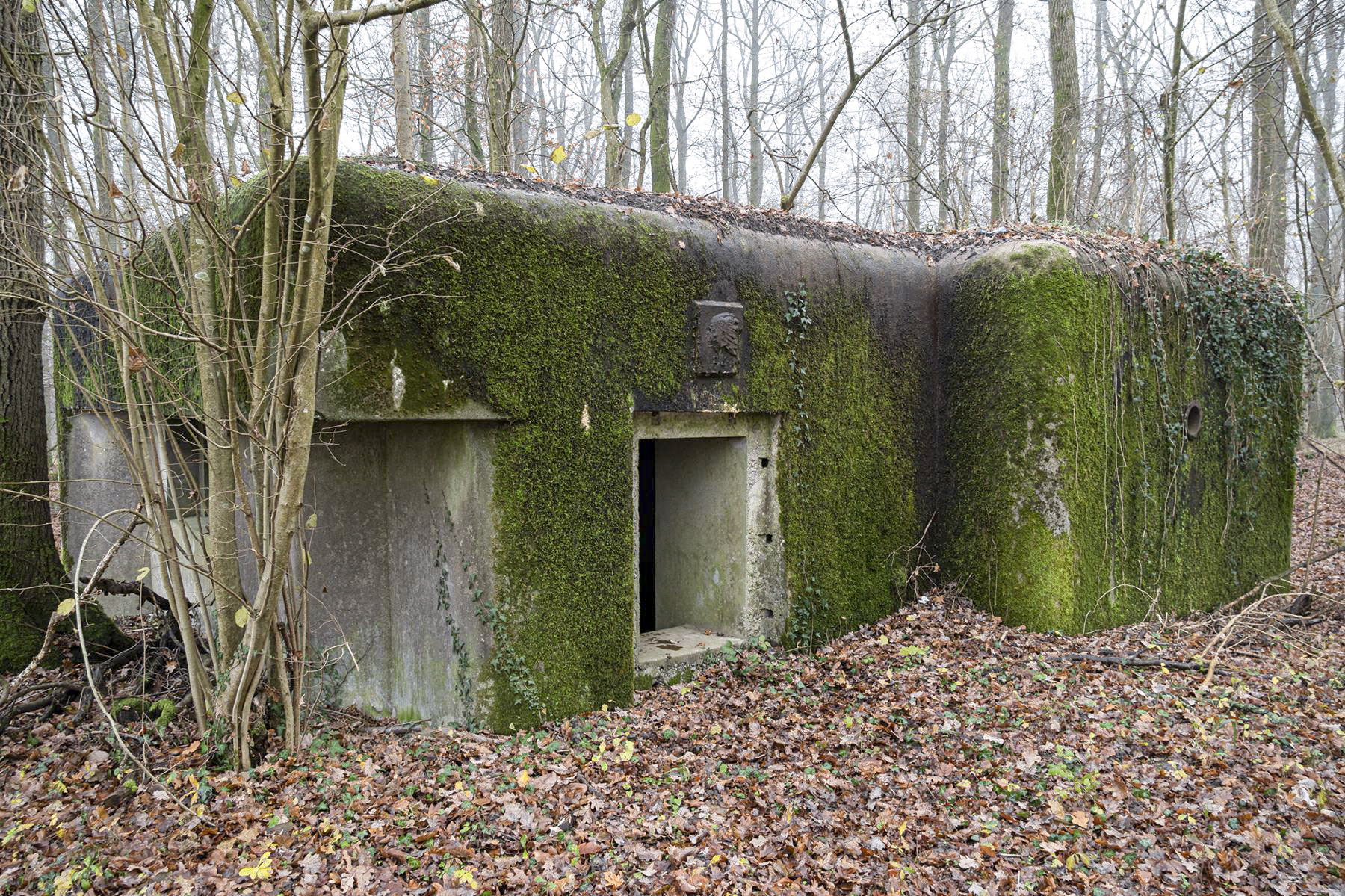 Ligne Maginot - SELTZBACH 1 - (Blockhaus pour arme infanterie) - L'entrée du blockhaus