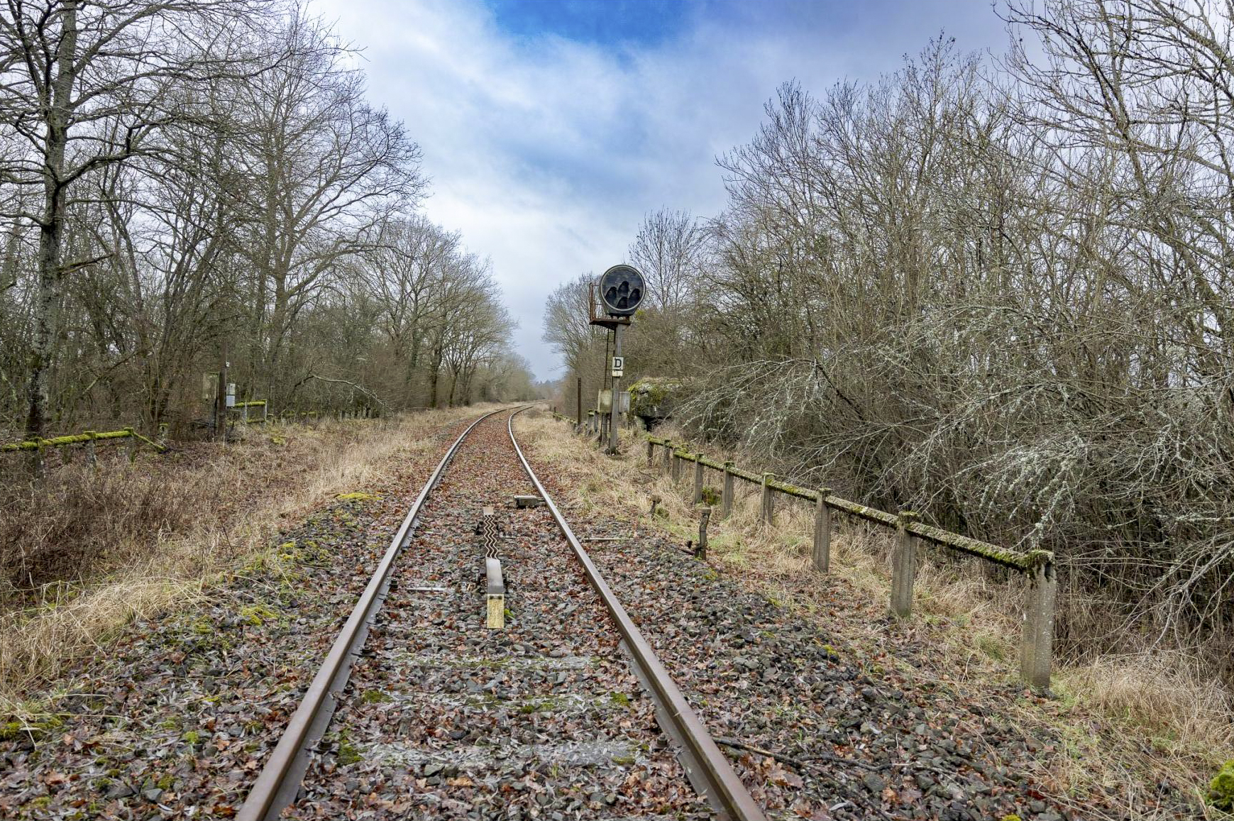 Ligne Maginot - SCHWANDELWALD 1 - (Blockhaus pour arme infanterie) - 