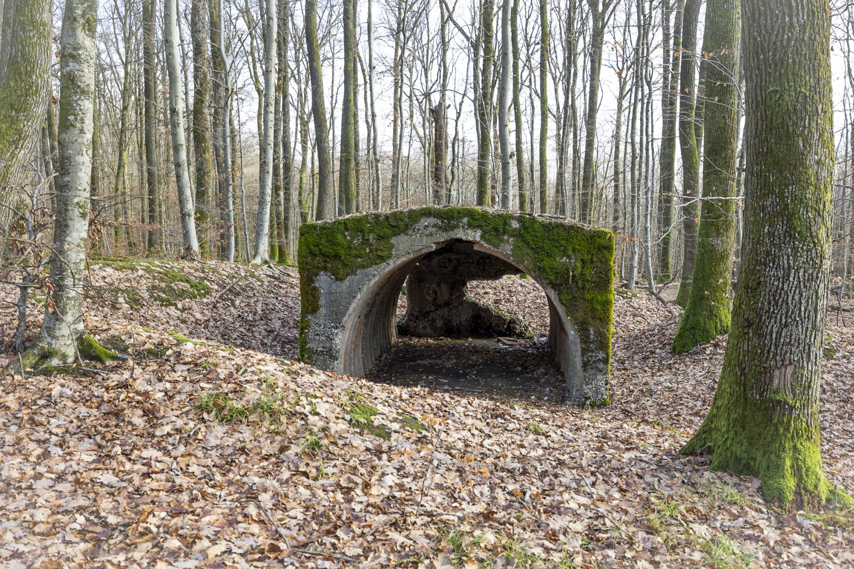 Ligne Maginot - LA GRANDE ALMETTE - (PC) - L'abri 