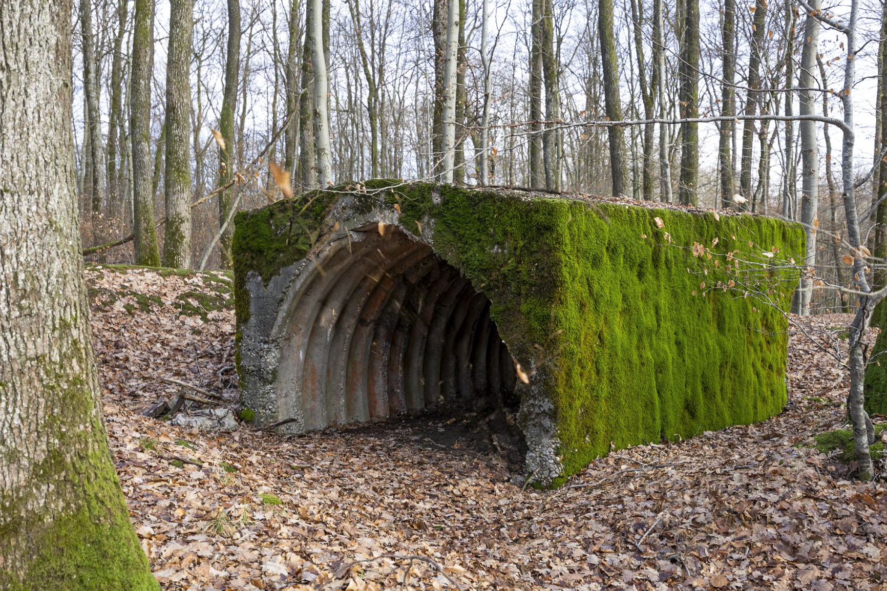 Ligne Maginot - LA GRANDE ALMETTE - (PC) - L'abri 