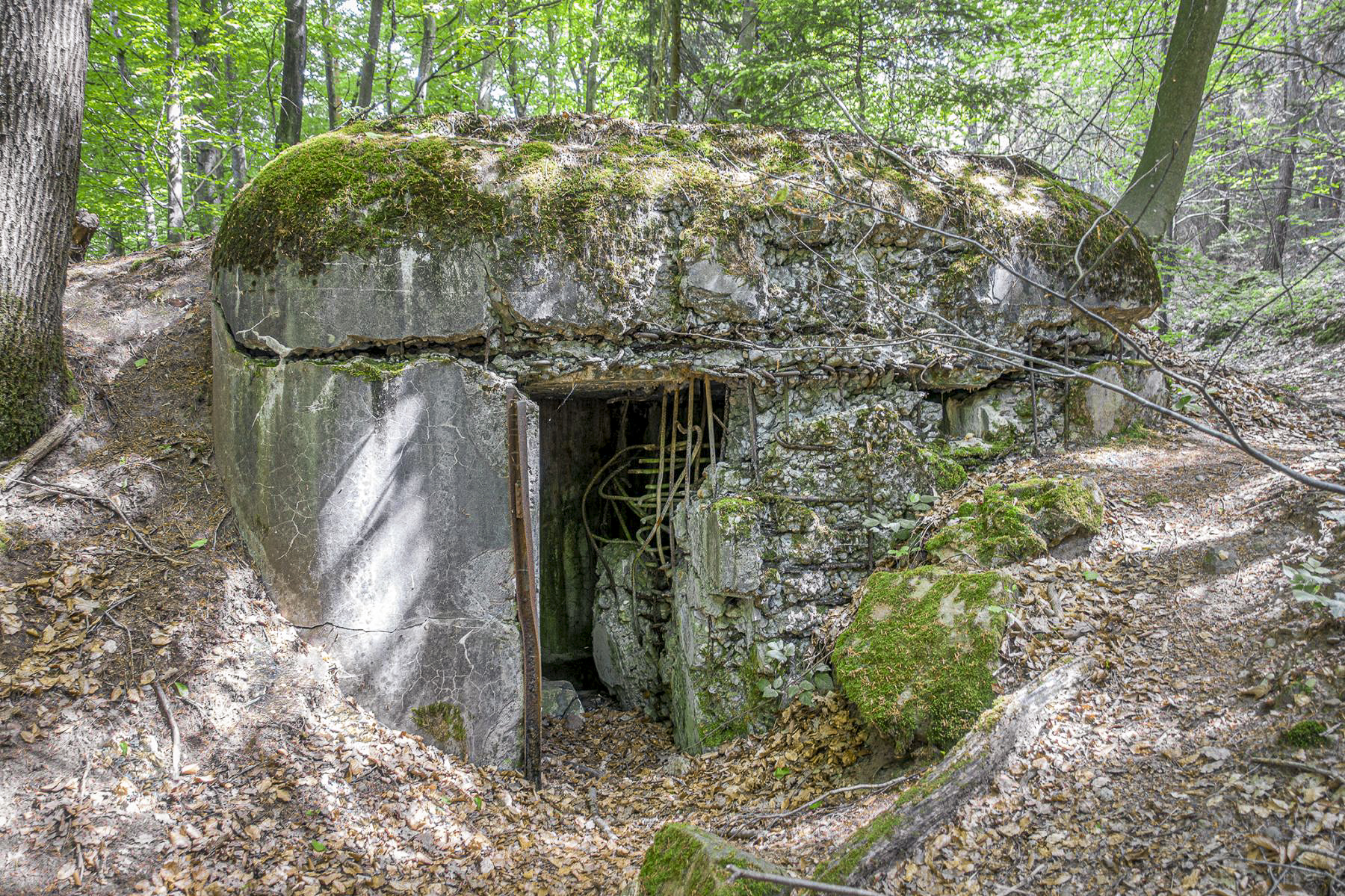 Ligne Maginot - 81 - (Chambre de coupure) - 