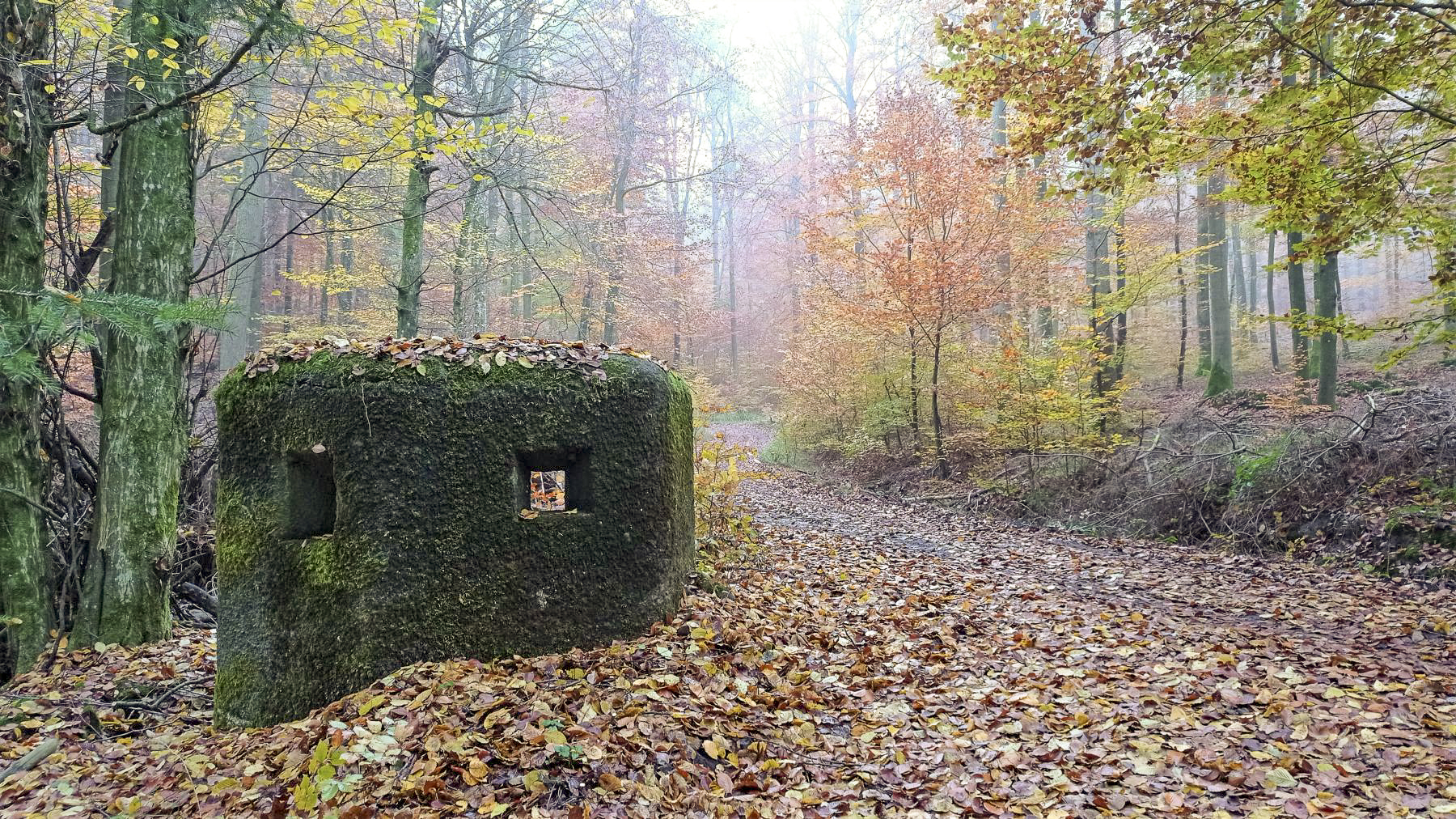 Ligne Maginot - FM6 - ZIEGELMATT - (Blockhaus pour arme infanterie) - Façade frontale