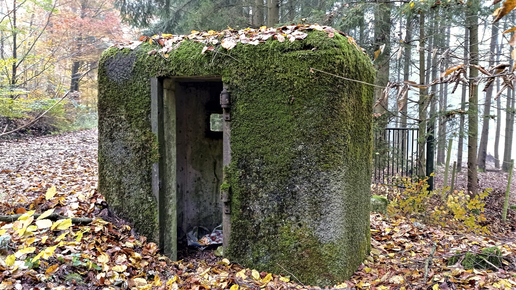 Ligne Maginot - FM6 - ZIEGELMATT - (Blockhaus pour arme infanterie) - L'entrée  