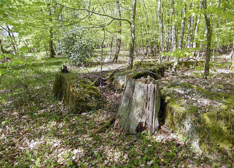 Ligne Maginot - GRUENDEL 2 - (Blockhaus de type indéterminé) - 