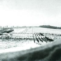 Ligne Maginot - FERME CHAPPY - A1 - (Ouvrage d'infanterie) - Les réseaux antichar et antipersonnel sur les avants de l'ouvrage 