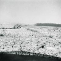 Ligne Maginot - FERME CHAPPY - A1 - (Ouvrage d'infanterie) - Les réseaux antichar et antipersonnel sur les avants de l'ouvrage 