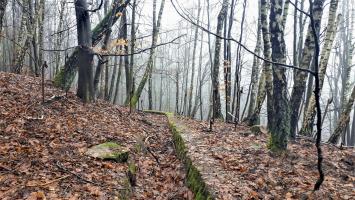 Ligne Maginot - HOCHWALD (FOSSé ANTICHAR DU) - (Obstacle antichar) - La cunette d'évacuation des eaux de pluie à l'extrémité du fossé de la casemate C5