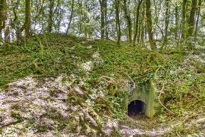 Ligne Maginot - OBERWALD EST NORD - (Blockhaus pour arme infanterie) - Entrée nord-ouest