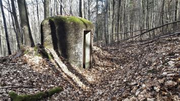 Ligne Maginot - PFAFFENBRONN 2 - (Blockhaus pour arme infanterie) - L'entrée du bloc dans une tranchée