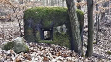 Ligne Maginot - PFAFFENBRONN 5 - (Blockhaus pour arme infanterie) - Créneau frontal