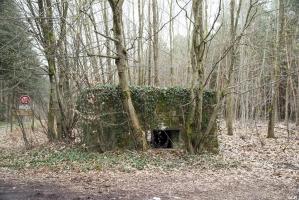 Ligne Maginot - HATTENER STANGER EST 1 - (Blockhaus pour canon) - 