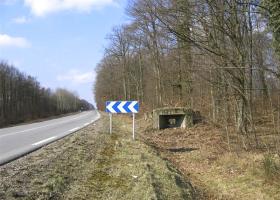 Ligne Maginot - MAISON FORESTIERE DE L'EBERBACH 1 - (Blockhaus pour canon) - 