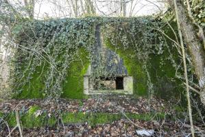 Ligne Maginot - DB230 - PINAUSET - (Blockhaus pour canon) - La façade